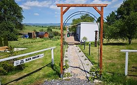 Ranch 66 - Wellness Tiny House Black Swallow ve stylu Route 66 se saunou, koupacím sudem a bazénem
